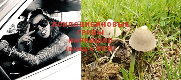 кокаин премиум Заводоуковск