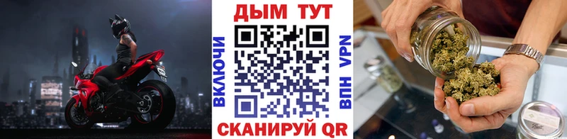 Купить закладки  Кольчугино  Конопля индика 